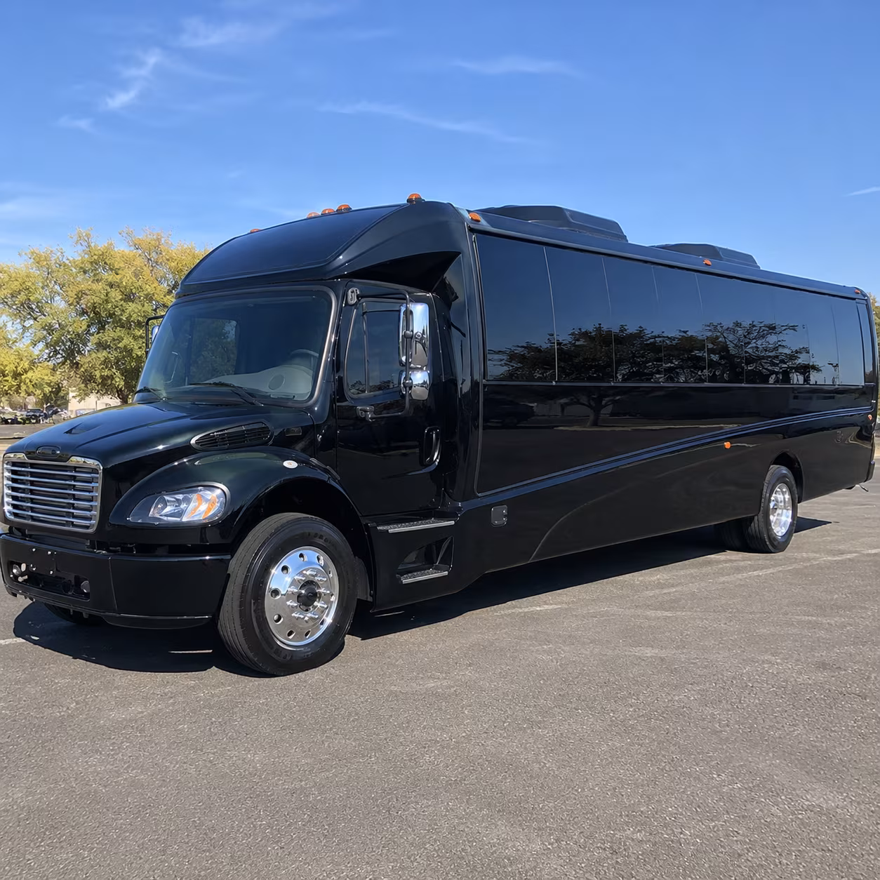 asheville 15 passenger minibus