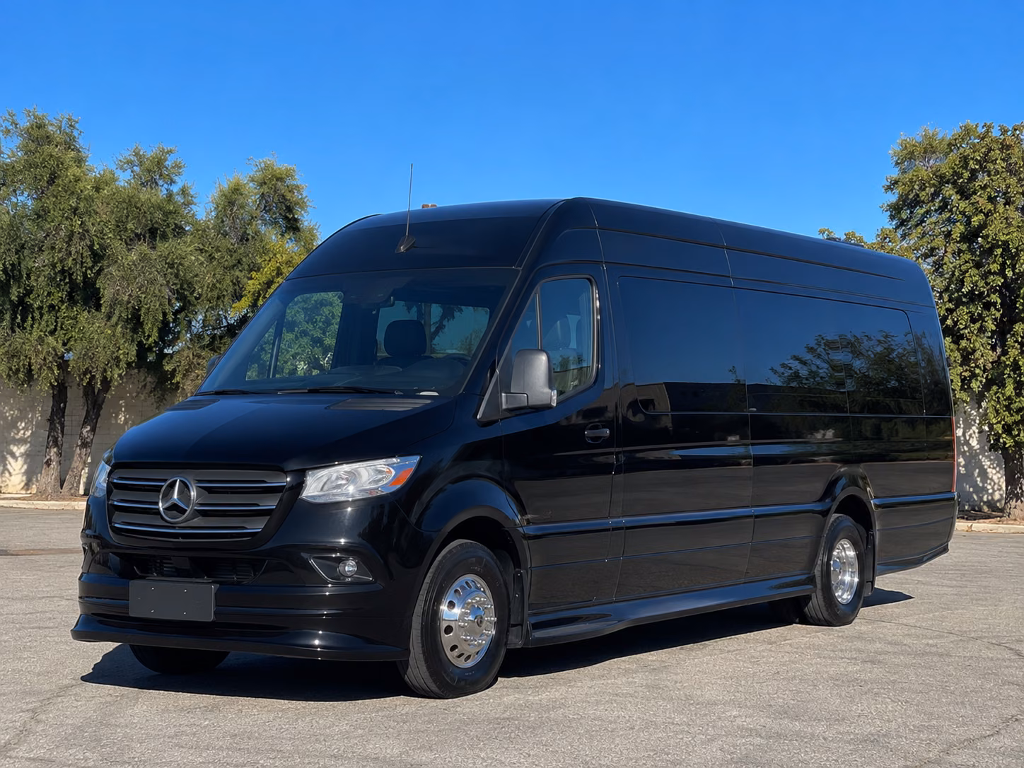 asheville sprinter van with driver