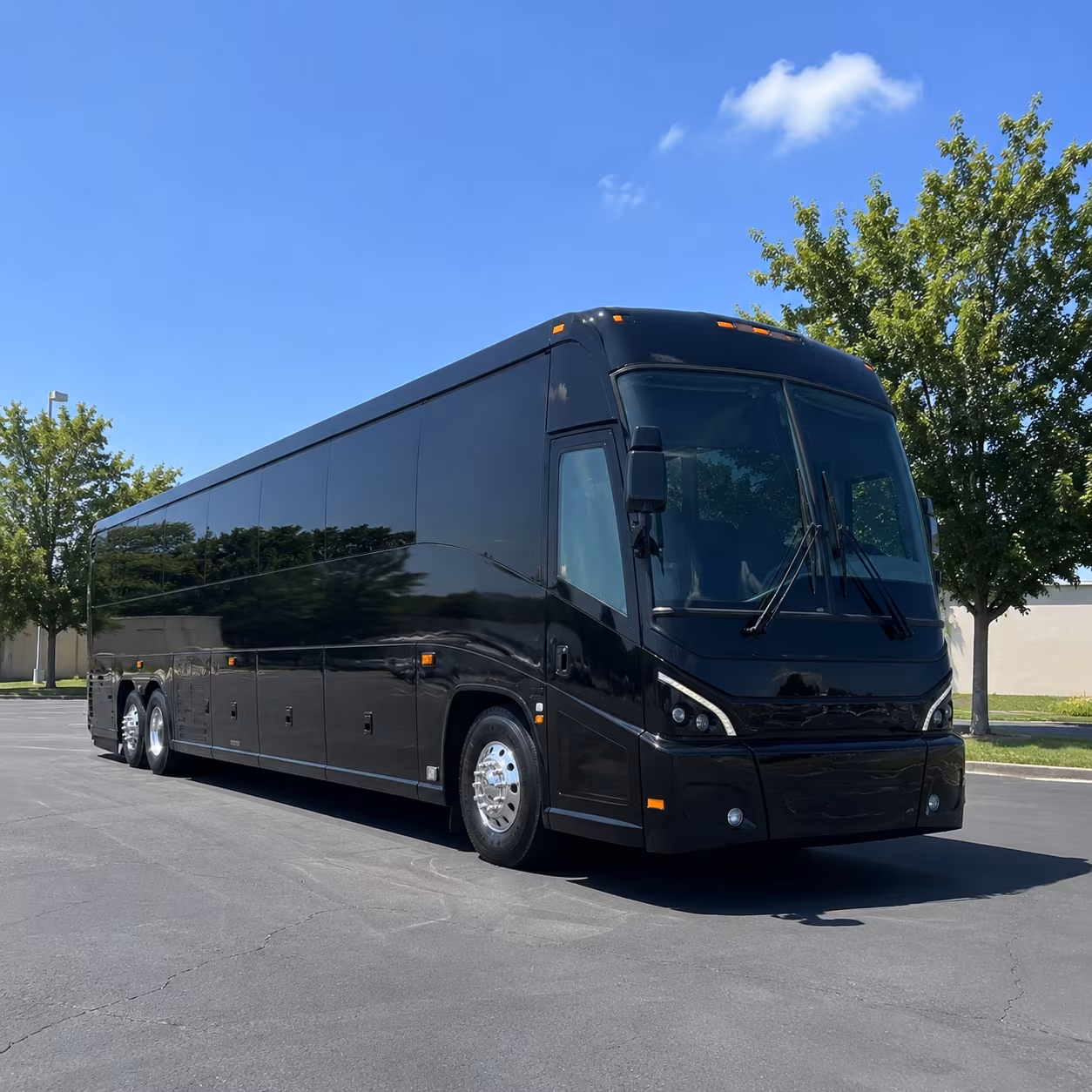 asheville wedding transportation